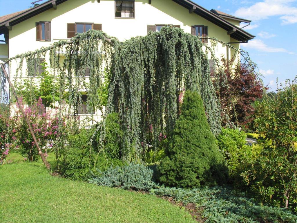 Albergo Residence Isotta Veruno Exterior photo